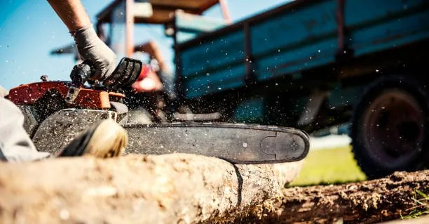 Tree Removal Auckland for real estate development