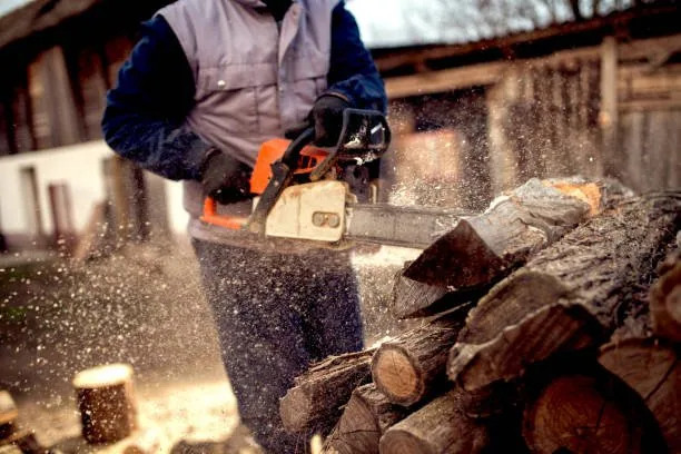Tree Removal Auckland