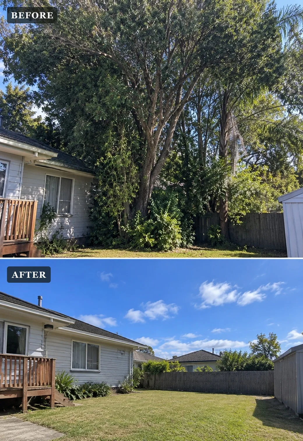 Before and after emergency tree removal at a West Auckland property