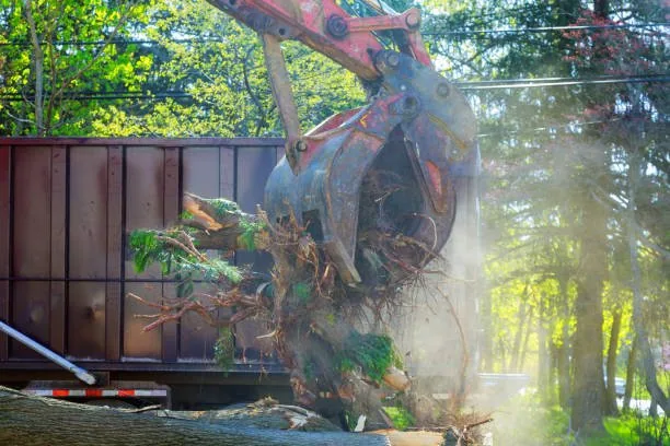 emergency tree removal