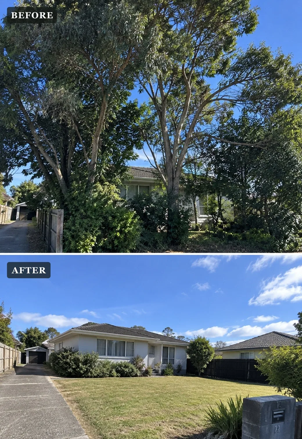 Before and after tree removal at a West Auckland property