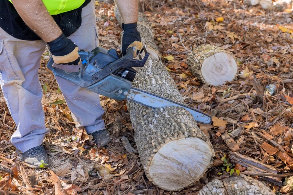 auckland branch cutting